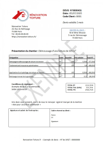 Modèle devis nettoyage toiture