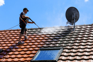 Comment procéder au démoussage de toiture ?