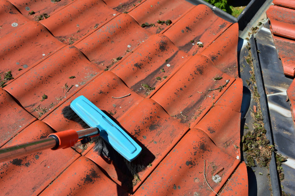 Les solutions écologiques pour supprimer la mousse de son toit