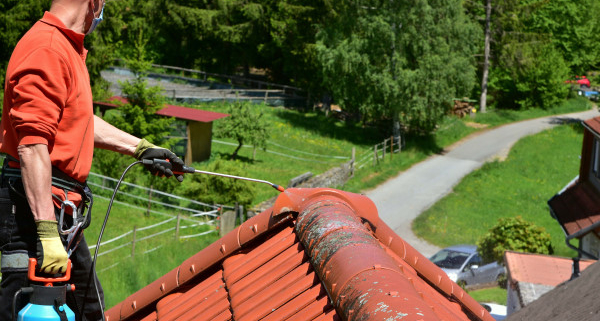 Quel budget pour le traitement hydrofuge pour toiture ?
