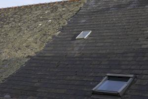 Combien débourser pour le démoussage d'une toiture ?